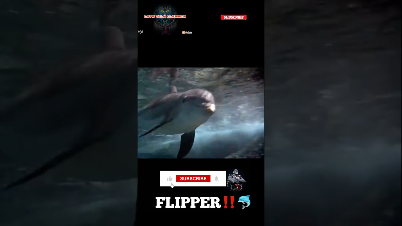 Do You Remember The Tv Show FLIPPER⁉️🐬