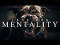 TRUE DOG MENTALITY - Best Motivational Video Speeches Compilation