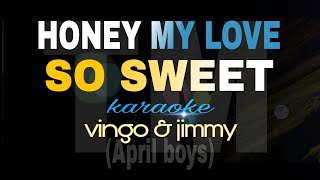 HONEY MY LOVE SO SWEET april boys karaoke