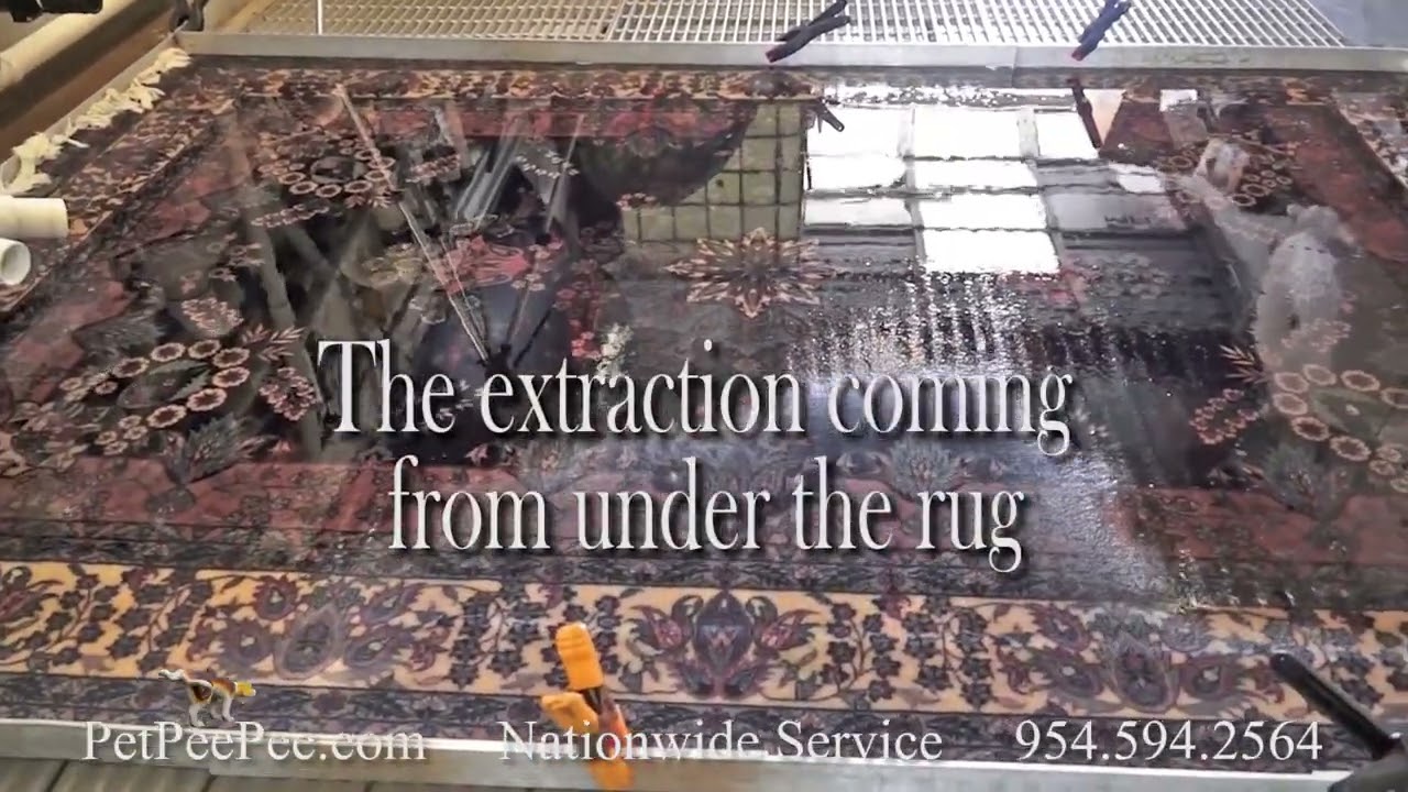 Почему не следует стирать восточный ковер дома