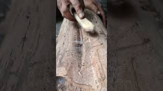 Plowing Logs The Traditional Way To Start A Fire.