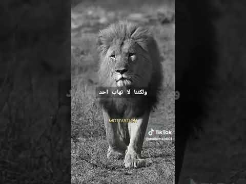 تربينا اسياد انفسنا 