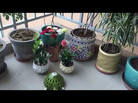 balcony-decor-ideas