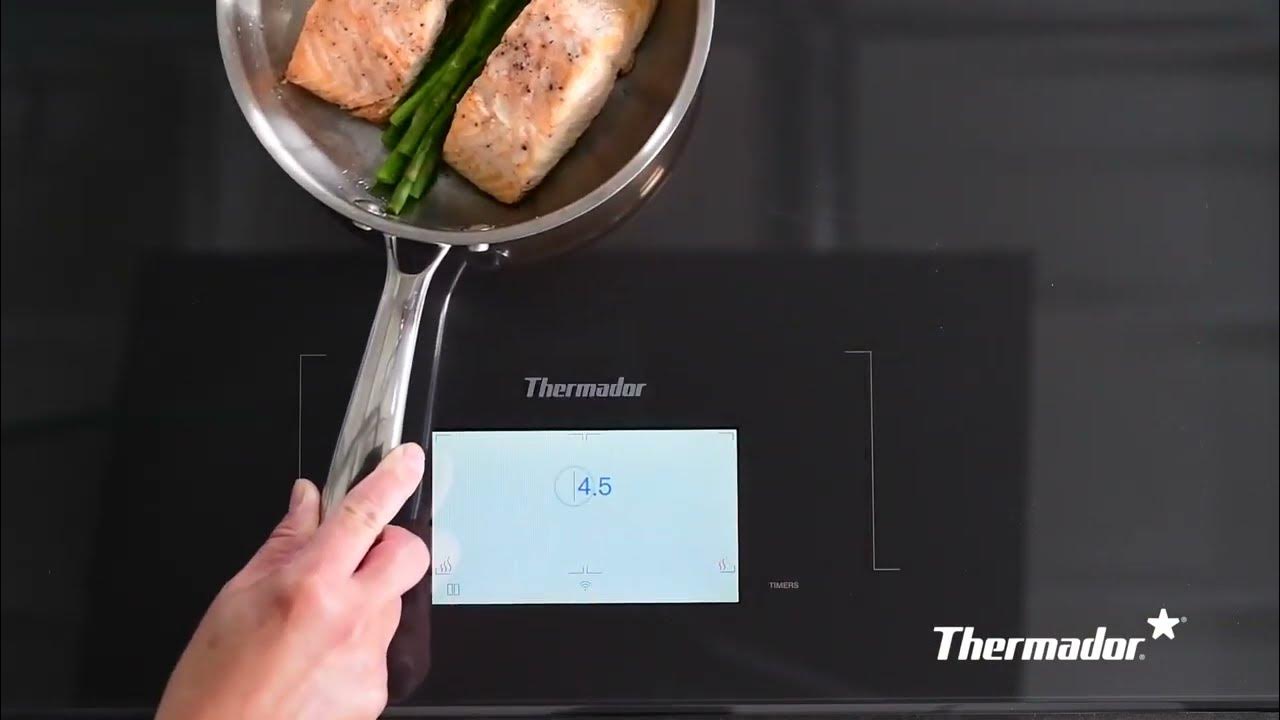 MoveMode® Freedom® Induction Cooktop YouTube