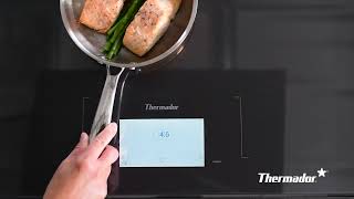 MoveMode® Freedom® Induction Cooktop