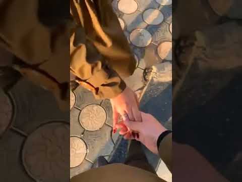 تامر عاشور انت هديت ربنا ليه