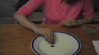Milk Fireworks -- Experiments of Dorie Dilts