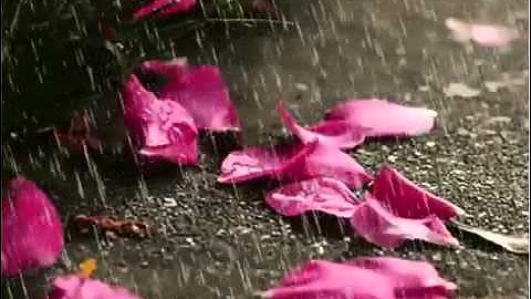 Surat Ar Rahman   Yousef Kalo   سورة الرحمن   يوسف كالو