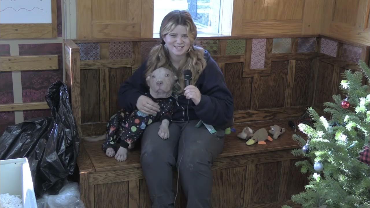 Pick Your Next Pet at the Ashtabula County Animal Protective League