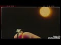 ياكل قلب حب  ياحب في كل مكان قلب حكاية حبنا  نجومي