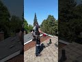 How you do you know if you have a raccoon in your roof - Part 2