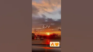 انت حقي وعيب ليسكت عن حقه 