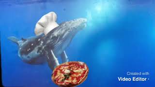 Whale in Italy