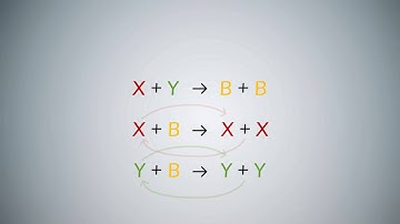 Approximate Majority algorithm
