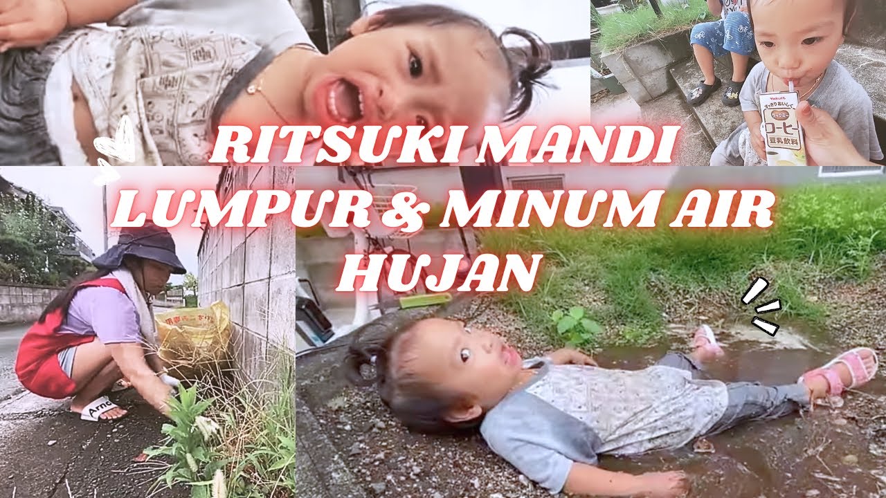 CABUT RUMPUT DEPAN RUMAH ️ ritsuki mandi lumpur dan minum air hujan di ...