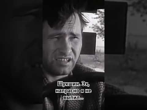 Шукшин. Горлов. Эх, напрасно я не выпил... #shorts #кино #фильм #нашекино #шукшин #film #movie
