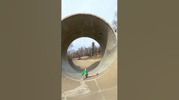 The Top 5 Perfectly Cut Funny Viral Videos of the Month