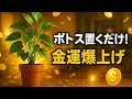 ポトスをここに置くだけでお金が増える！ ポトス最強の置き場所ベスト5