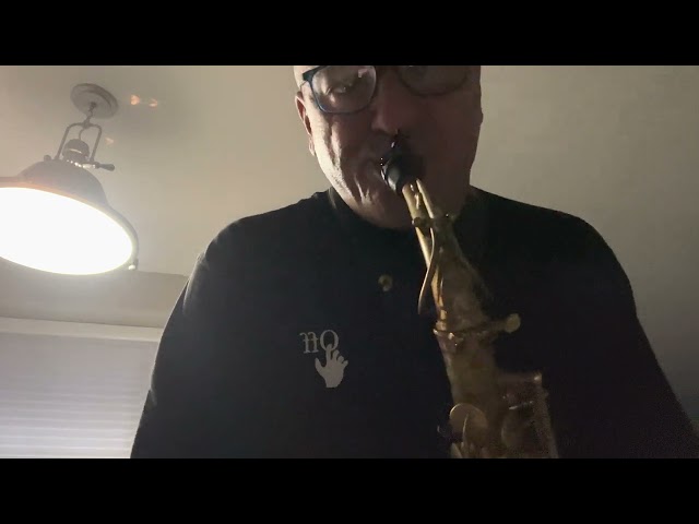 Selmer BA alto saxophone SN:22.xxx the mouthpiece vandoren blue . class=