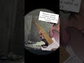 Hammer, pullouf, economy picking practice. #guitar #guitarcover #guitarperformance #guitarplaying