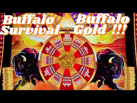 Buffalo Gold Line Hit Survival Mode
