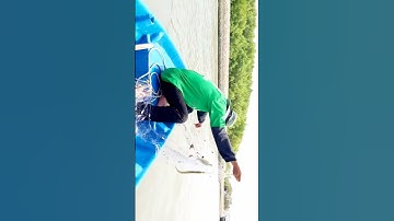 Biển Cần Giờ Hết Cá Rồi #shorts