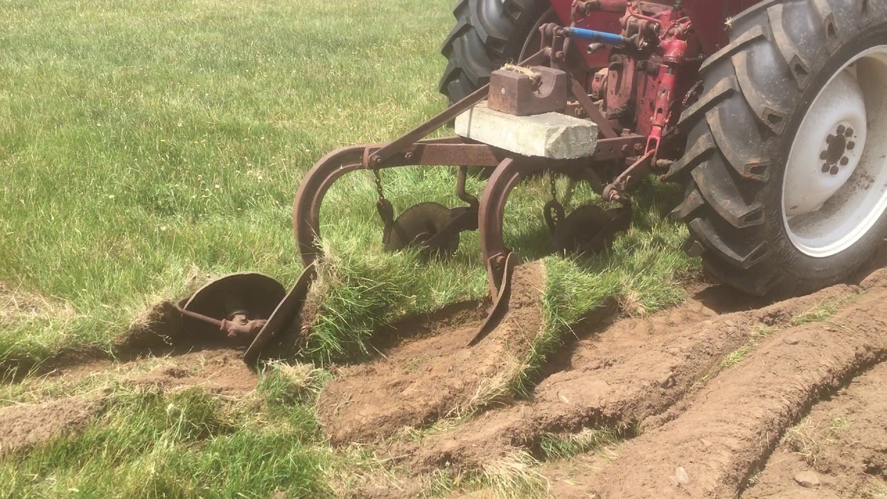 International B414 with two furrow plough YouTube