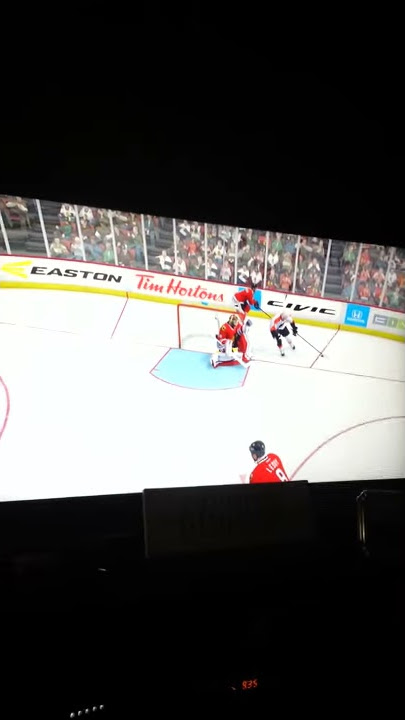 NHL 14 crazy goalie!!!