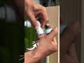 Tool tricks for broken faucet threads #goviralvideo #fyp #viral_video #weekendprojects #pvcformwork