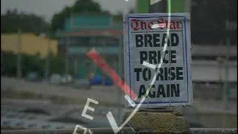 Hank Williams Jr, Weatherman