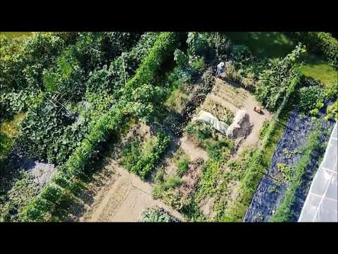 Tatgut Gartenraritäten Und Historisches Saatgut