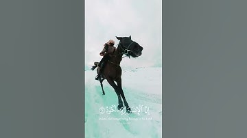 سورة العاديات ❤️ الشيخ ماهر المعيقلي 😇❤️ #قرآن #اكسبلور #قران_كريم #لايك #راحة_نفسية #قرآن