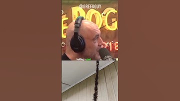 Joe Rogan On Dangerous Ants Build Bridge To Invade Wasp Nest#joerogan #joeroganexperience #jre