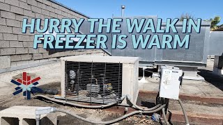 hurry the walk in freezer is warm