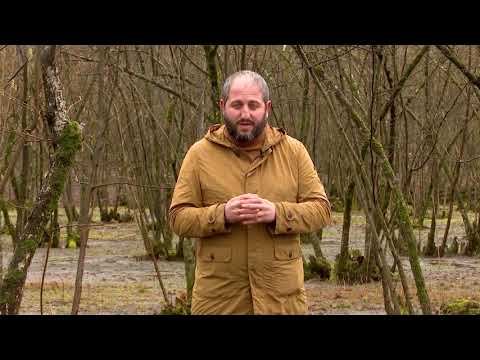 ეთნოფორი • etnopori (ანონსი / რიგით 201-ე) 13.02.2020 წ.