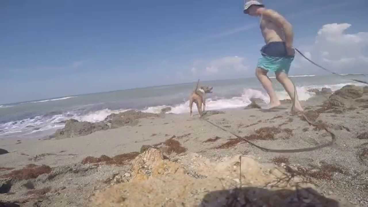 Nude in caspersen beach florida phrase Necessary words... Nude in caspersen beach florida share