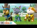 Paw Patrol | All-Star Pups | Nick Jr. UK