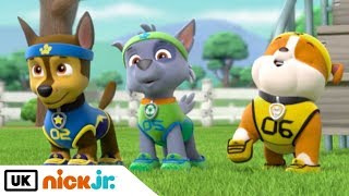 paw patrol all star pups toys