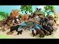 Safari Dioramas and Wild Animal Figurines - Learn Animal Names