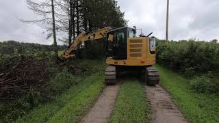 Ripping out Trees with a Cat 315