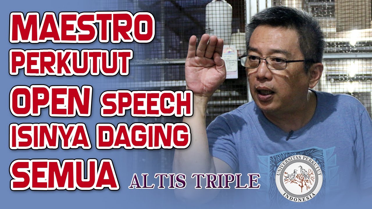Sang Maestro Perkutut Buka Suara !!! Pemilik Altis BF Juara Liga Perkutut Indonesia