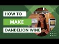 How to make dandelion wine part 1