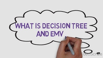 VIDEO RISK DECISION TREE