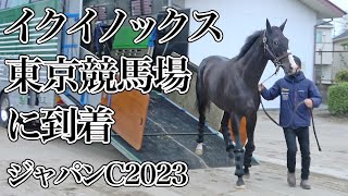 【ジャパンカップ2023】イクイノックス、決戦の地・東京競馬場に到着