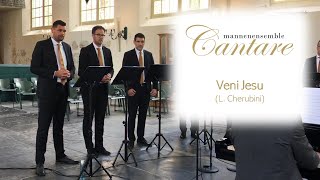 Download Lagu Veni Jesu (L. Cherubini) | Mannenensemble Cantare o.l.v. André van Vliet MP3