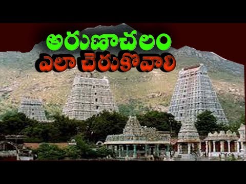 Comment arriver à Arunachalam Temple | Tiruvannamalai Temple Tour Guide