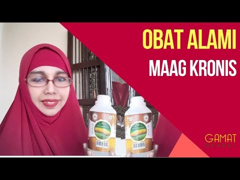 Obat Maag Kronis Dari Ekstrak Teripang Emas - Real Testimoni Maag Membaik Dengan QnC Jelly Gamat