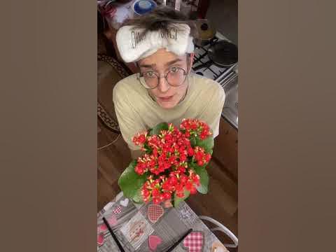 Цвет - YouTube