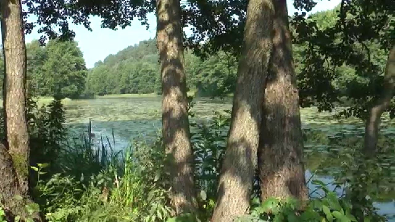 Suwalski Park Krajobrazowy - ścieżka edukacyjna Opowieści Turtula