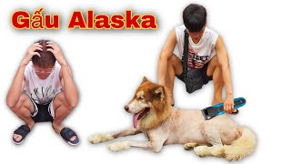Dương KC | Nhất KT Bị Đuổi Khỏi Team Vì Cạo Trụi Lông Gấu Alaska | Tạm Biệt !